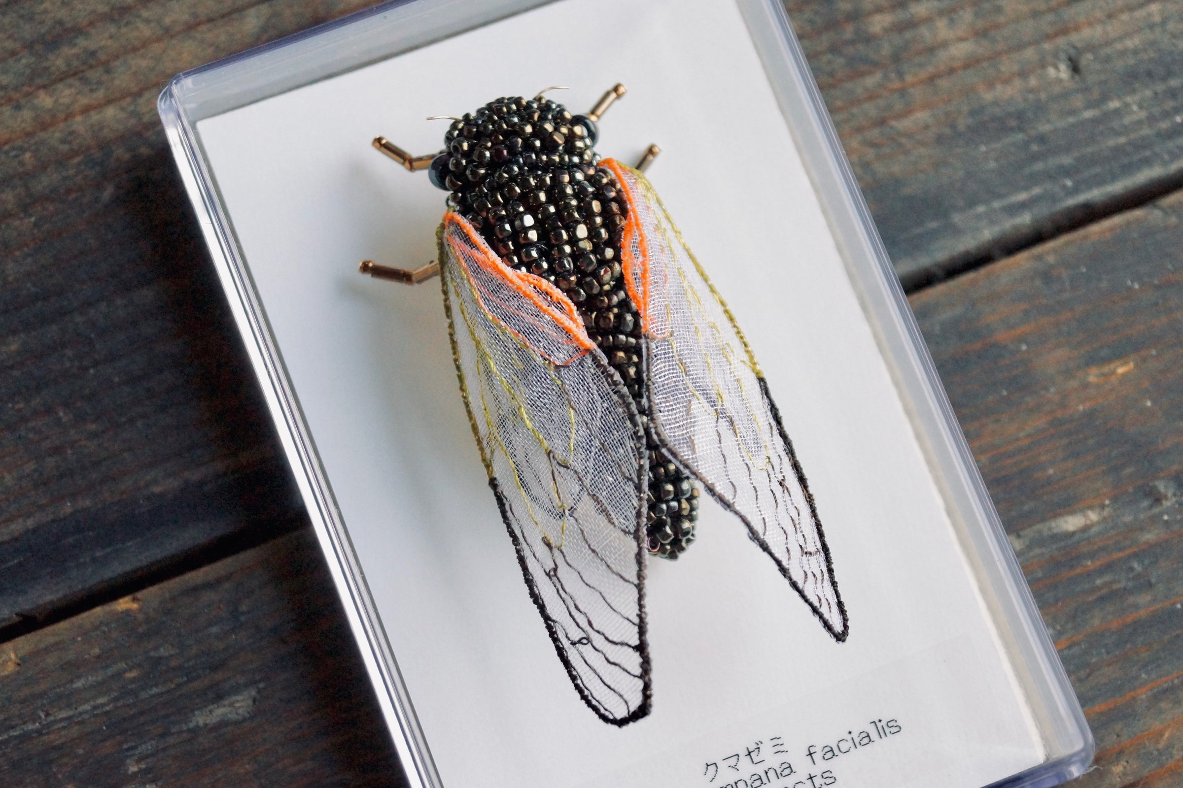 灯螂舎の蟲作品通販 | insect art gallery TŌRŌSHA