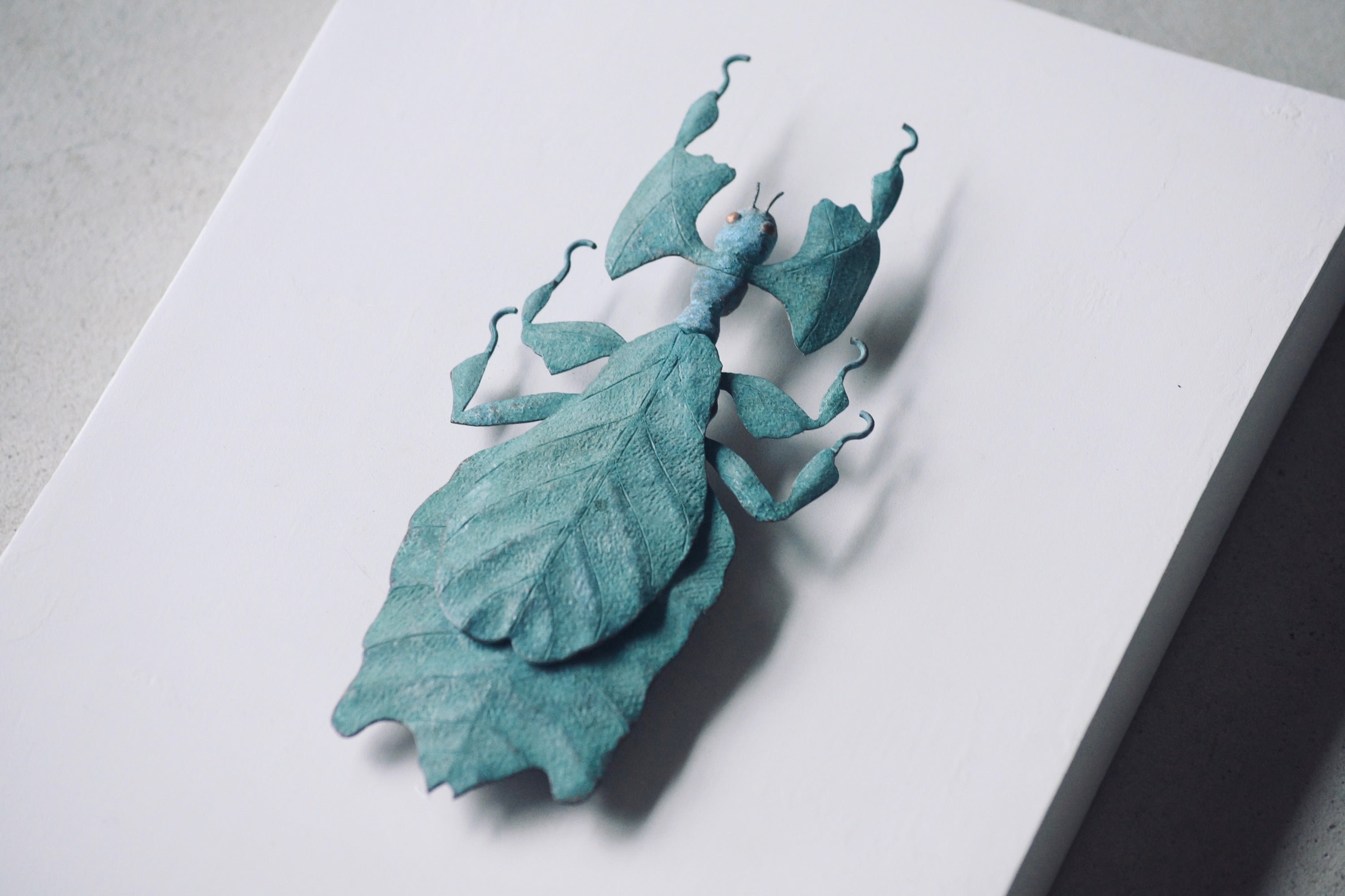 灯螂舎の蟲作品通販 | insect art gallery TŌRŌSHA