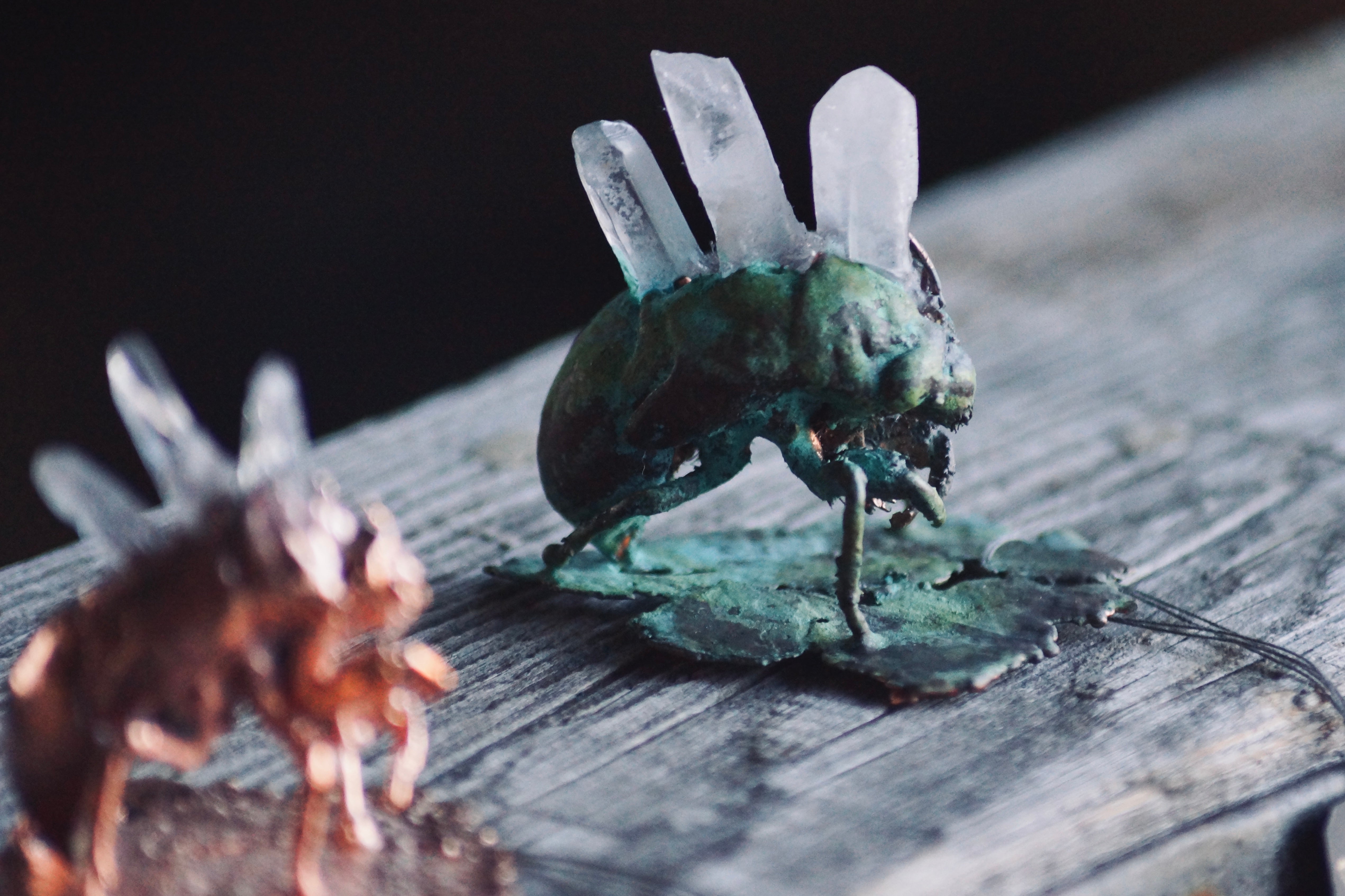 灯螂舎の蟲作品通販 | insect art gallery TŌRŌSHA