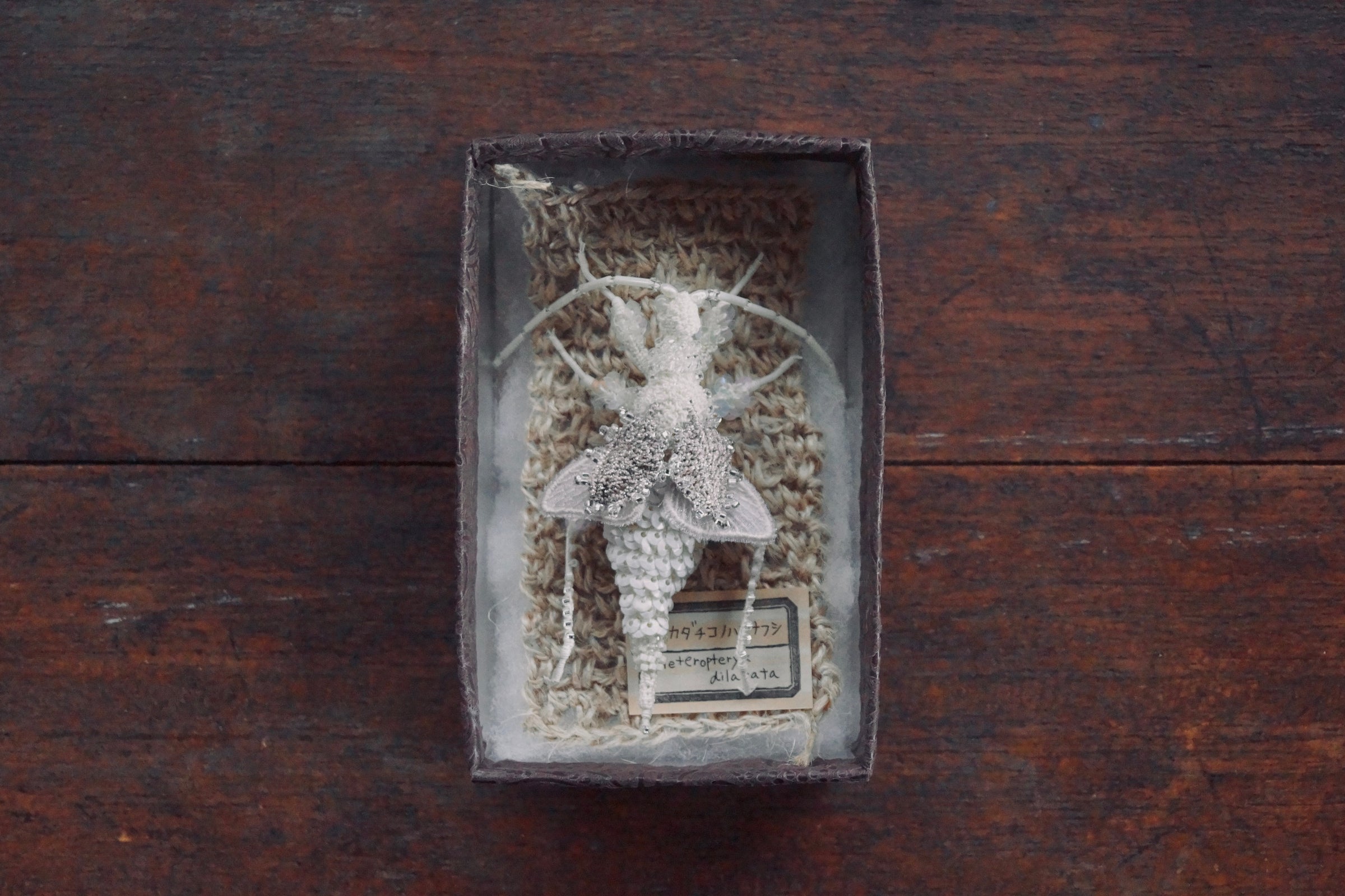 立体絵画の「一輪の牡丹と、近寄る昆虫」 立体絵画の「一輪の牡丹と、近寄る昆虫」