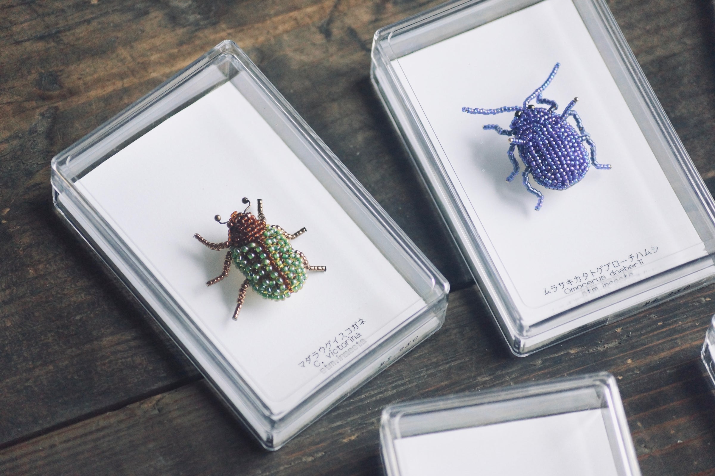 ビーズ昆虫ブローチ ムラサキカタトゲブローチハムシ【ctm.insects