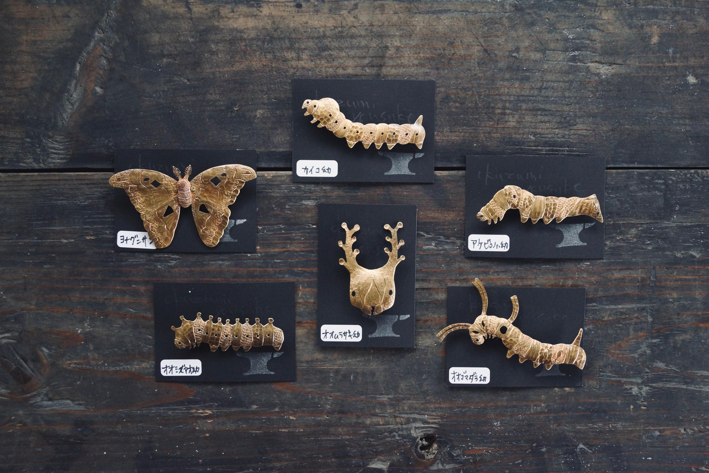 真鍮昆虫ブローチ ヨナグニサン【奥住陽介】 | insect art gallery TŌRŌSHA