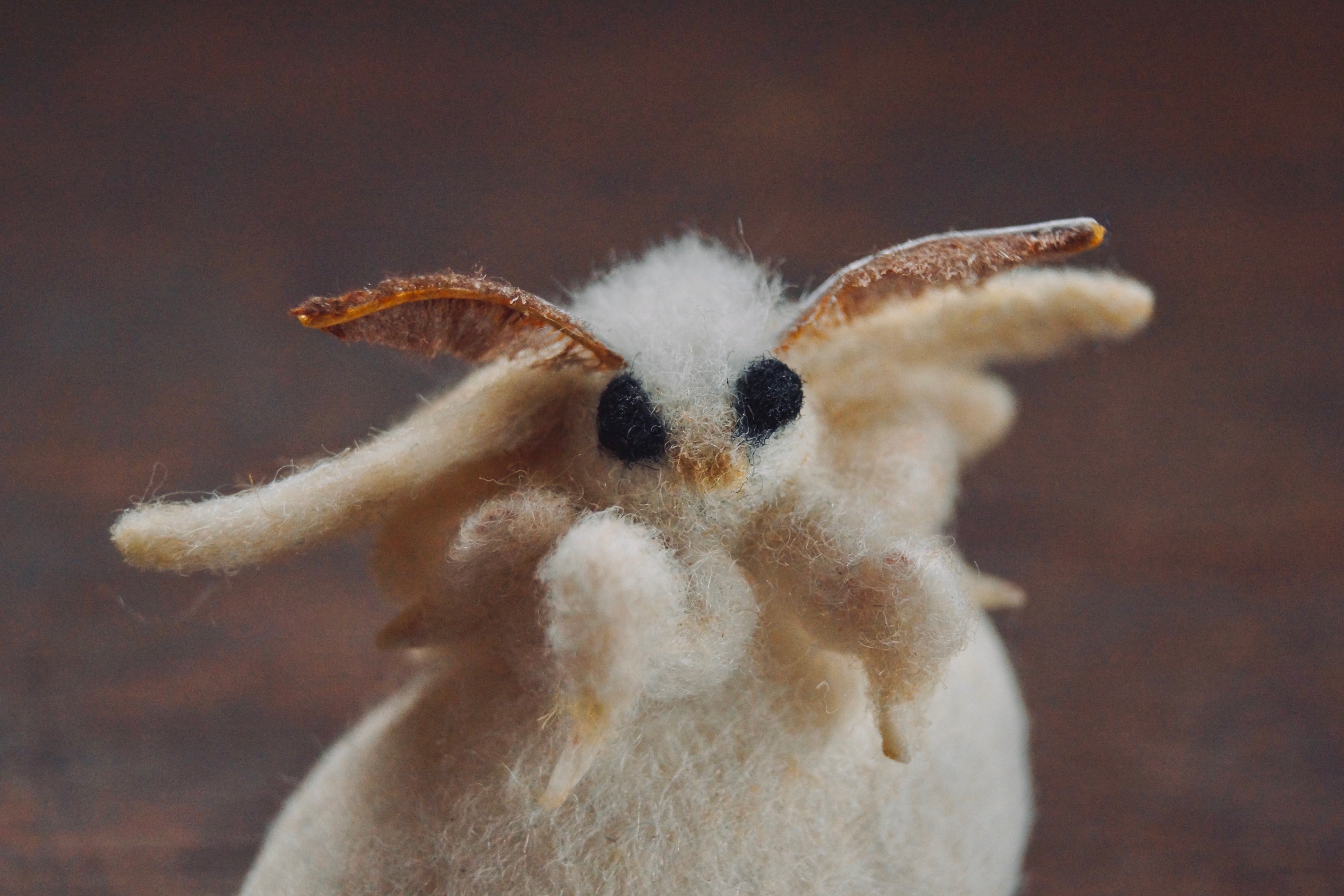 壺作者不明タテ300ヨコ300 灯螂舎の蟲作品通販 | insect art gallery TŌRŌSHA