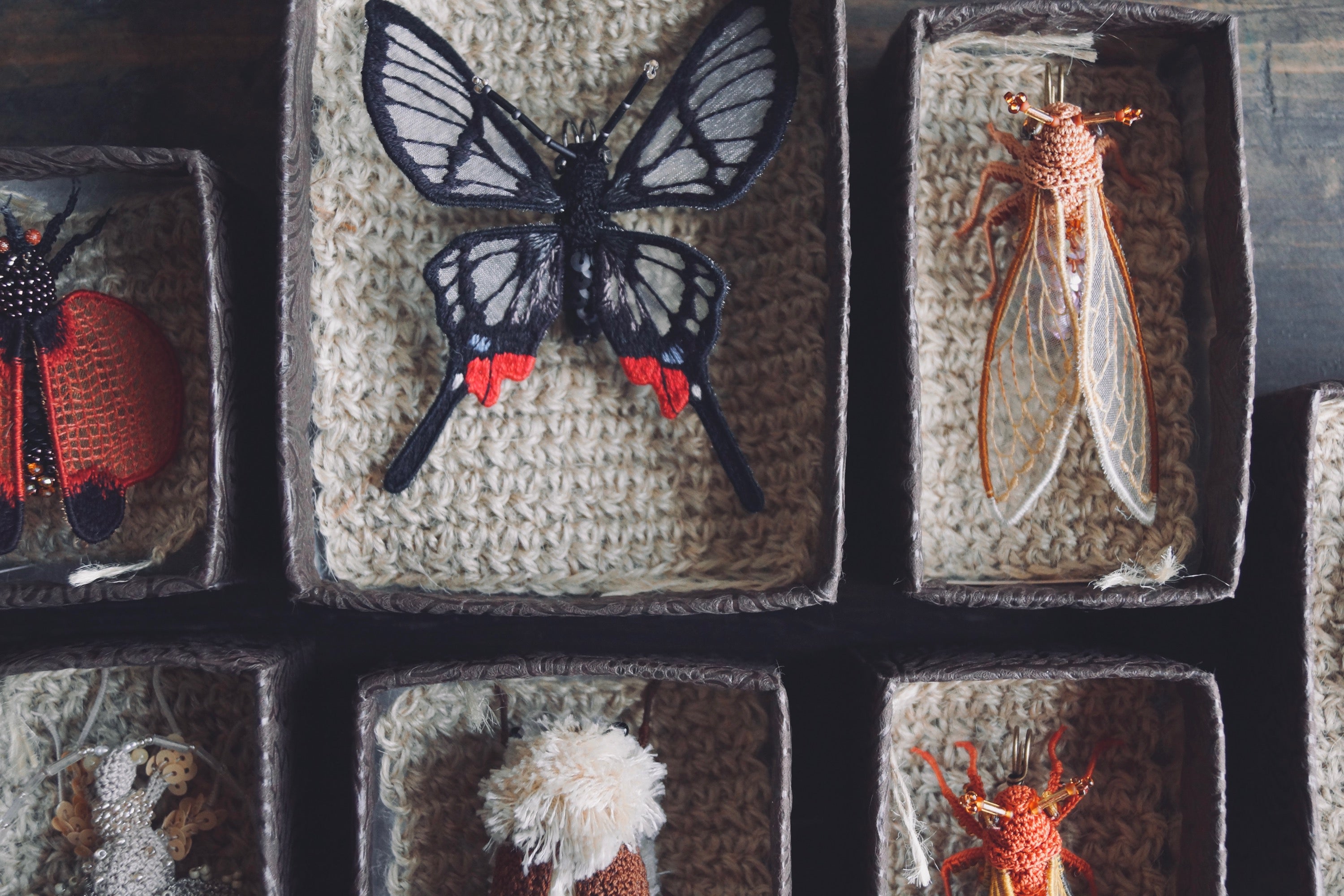 灯螂舎の蟲作品通販 | insect art gallery TŌRŌSHA