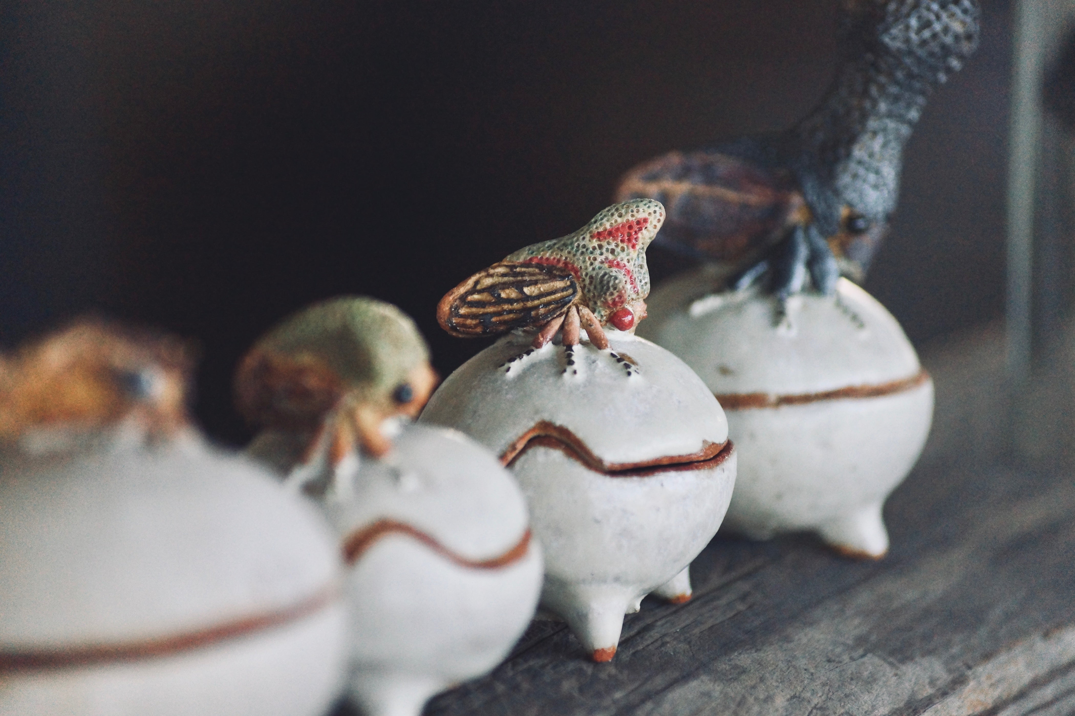 灯螂舎の蟲作品通販 | insect art gallery TŌRŌSHA