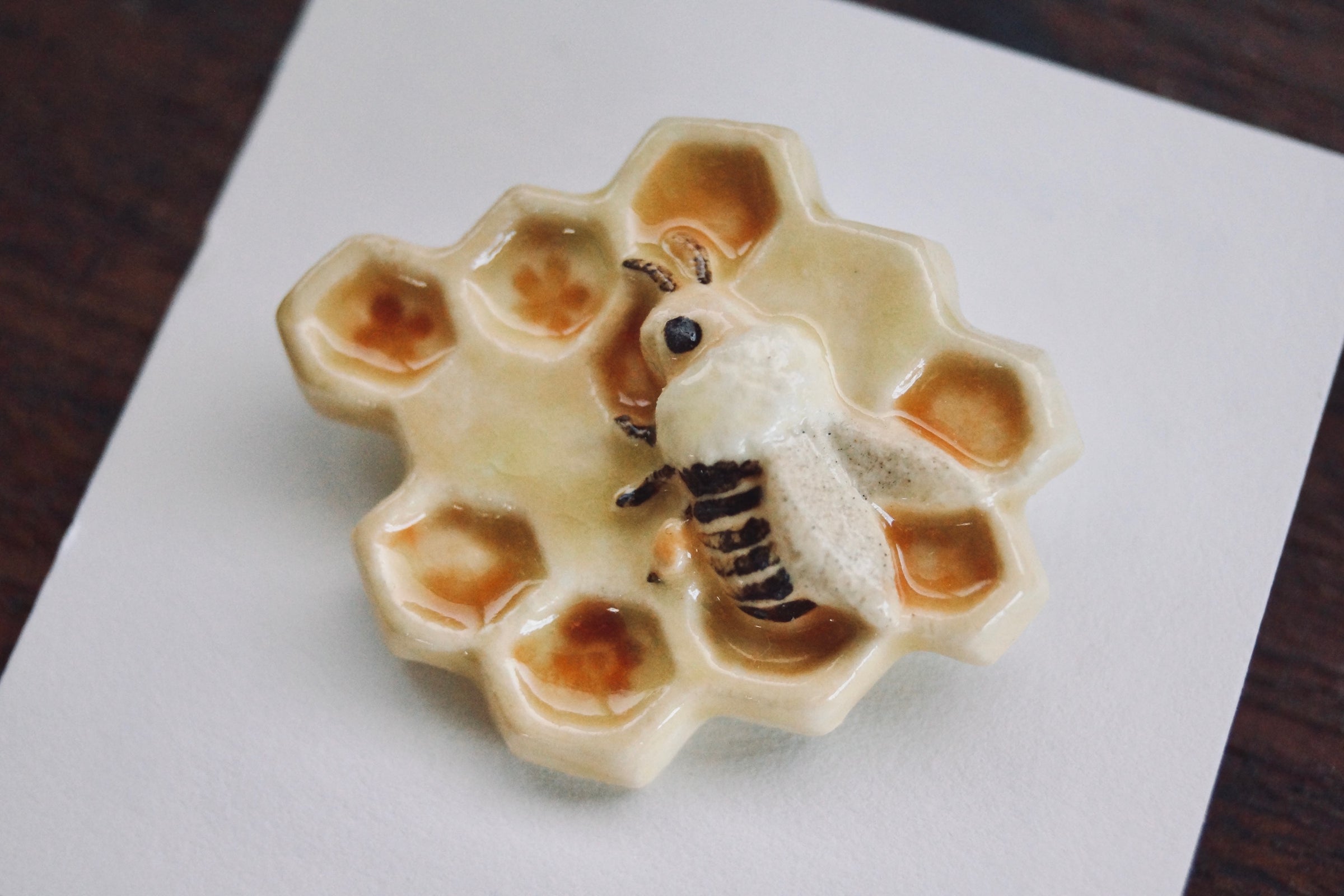 灯螂舎の蟲作品通販 | insect art gallery TŌRŌSHA