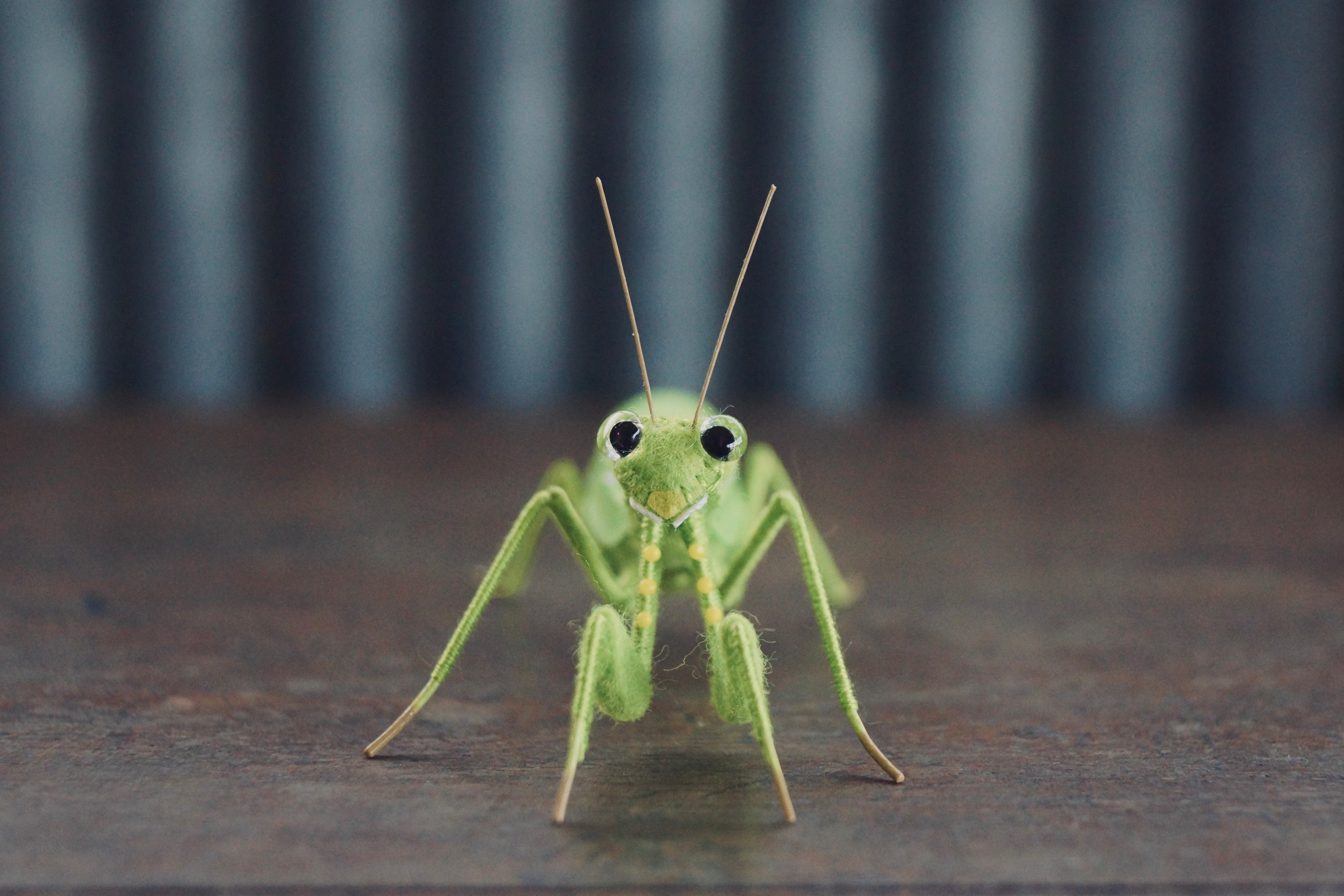 灯螂舎の蟲作品通販 | insect art gallery TŌRŌSHA