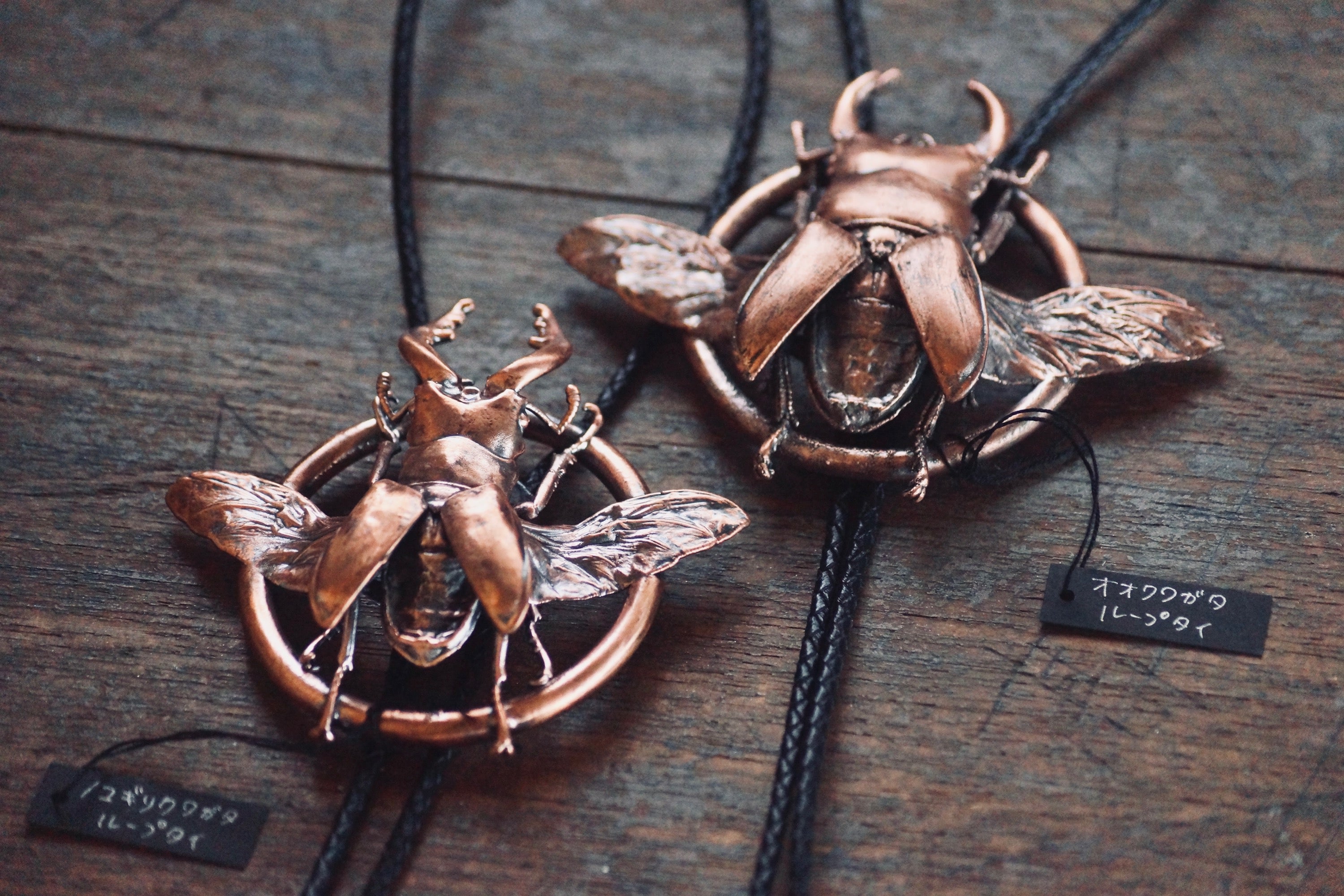 灯螂舎の蟲作品通販 | insect art gallery TŌRŌSHA