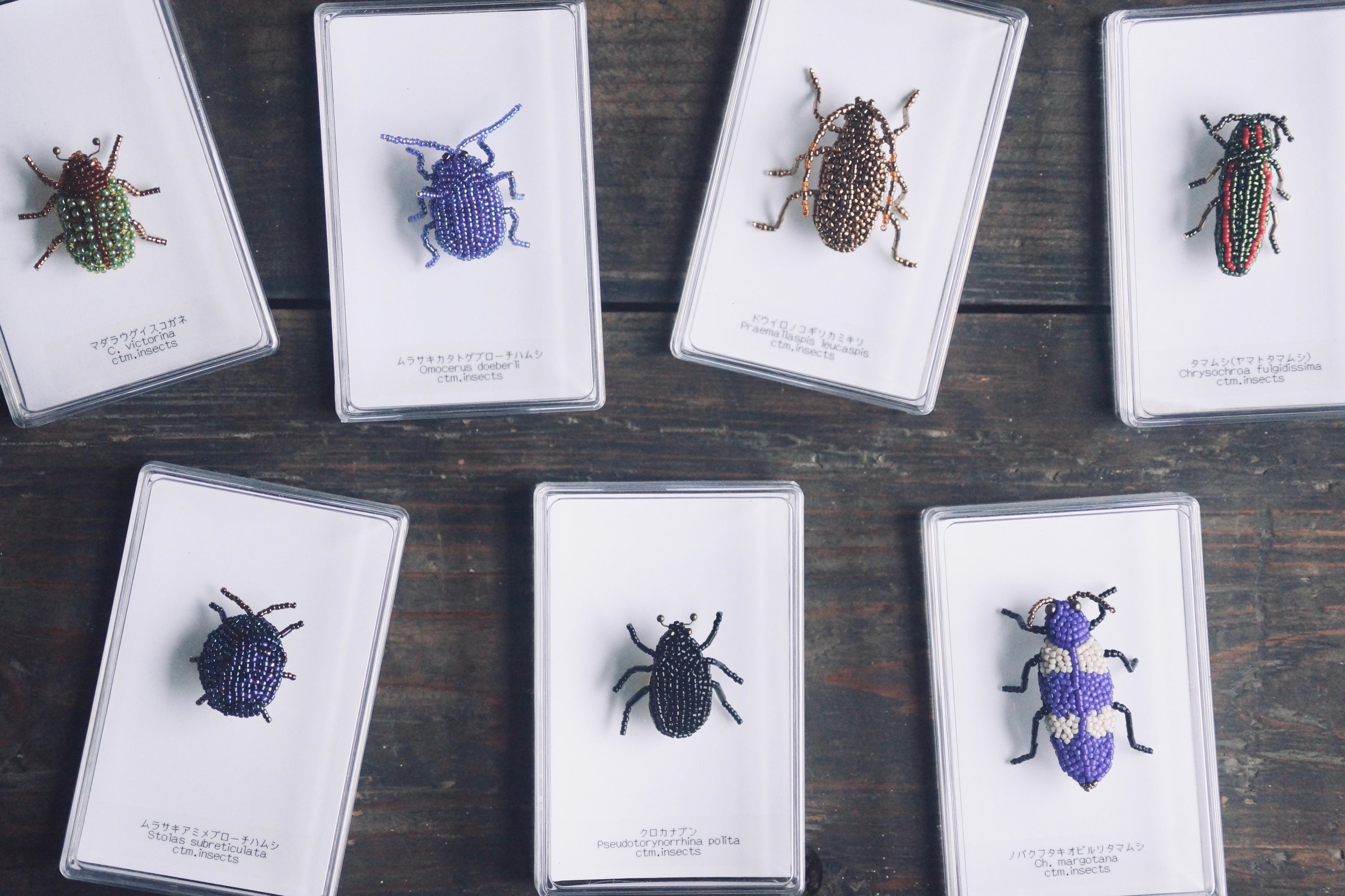 ビーズ昆虫ブローチ ムラサキカタトゲブローチハムシ【ctm.insects