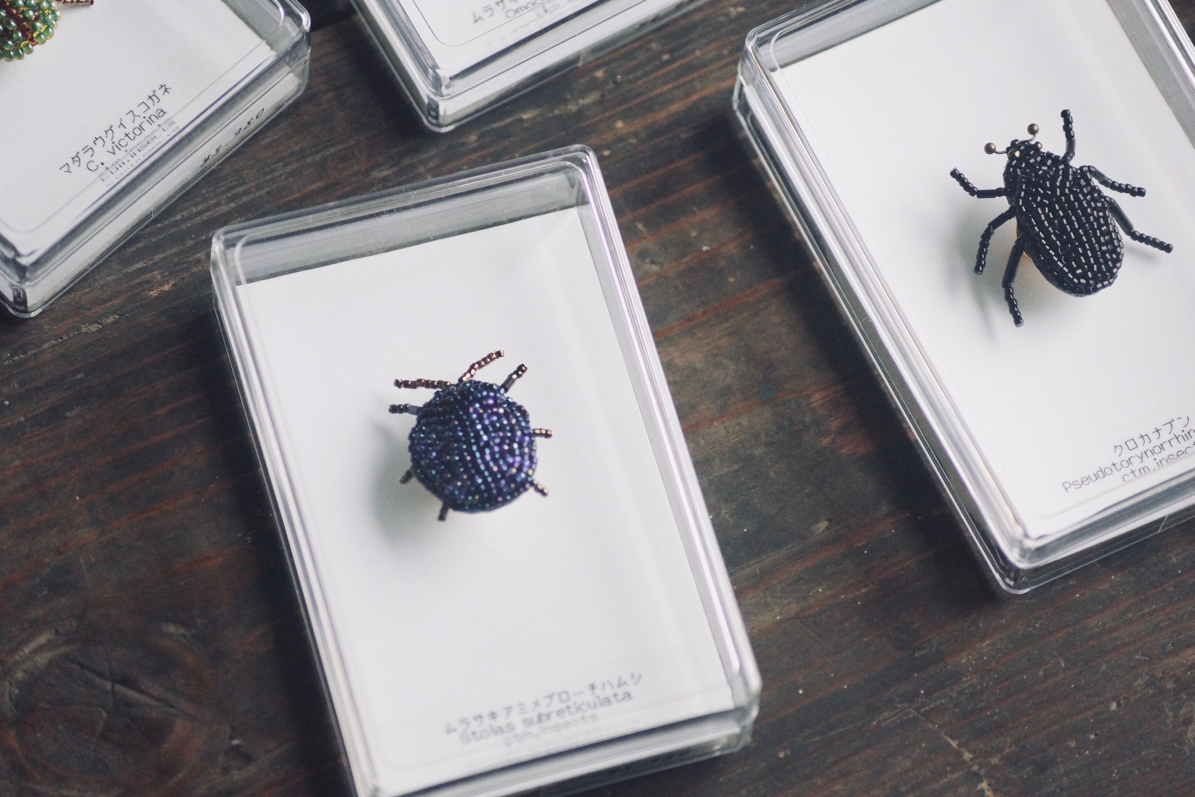 ビーズ昆虫ブローチ ムラサキアミメブローチハムシ【ctm.insects