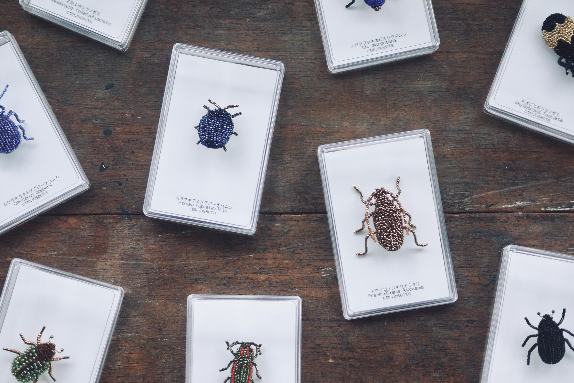 ビーズ昆虫ブローチ ムラサキアミメブローチハムシ【ctm.insects