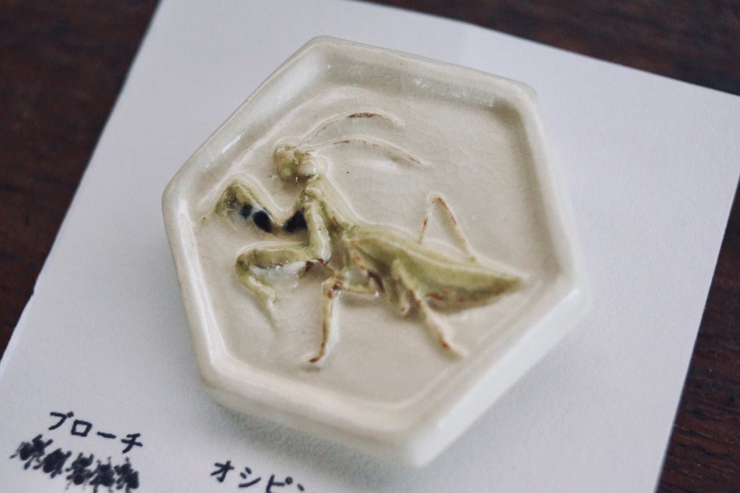 灯螂舎の蟲作品通販 | insect art gallery TŌRŌSHA