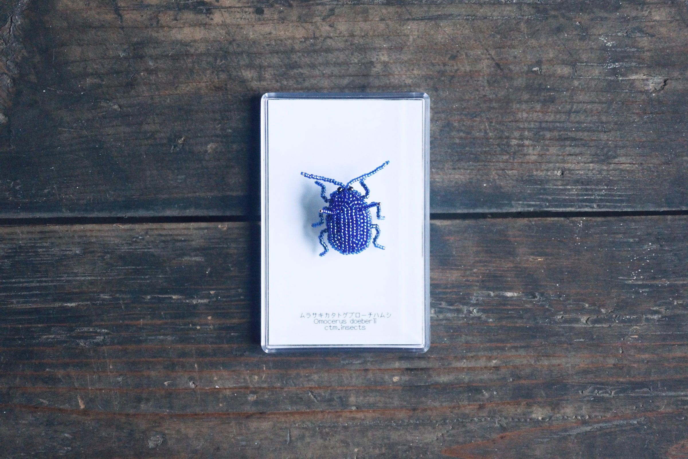ビーズ昆虫ブローチ ムラサキカタトゲブローチハムシ【ctm.insects